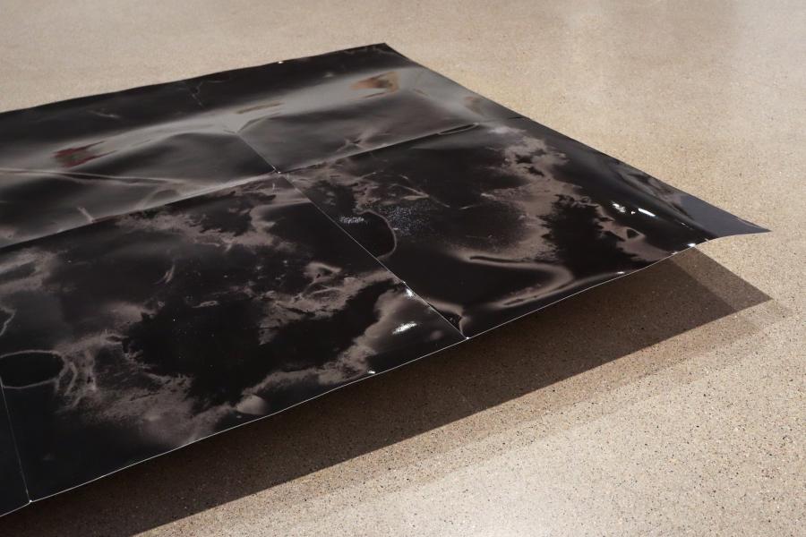 Close-up of "Trees and sand from Lake Winnipeg," a floor-based photographic installation showcasing abstract patterns on a silver gelatin print.