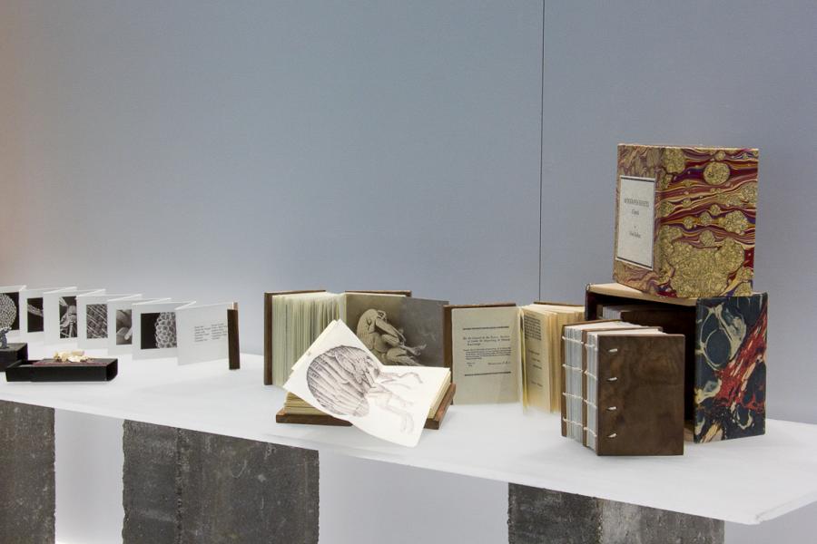 A display of handmade artist books, including open volumes showcasing detailed illustrations of insects, marbled covers, and accordion-fold formats, arranged on a white platform.