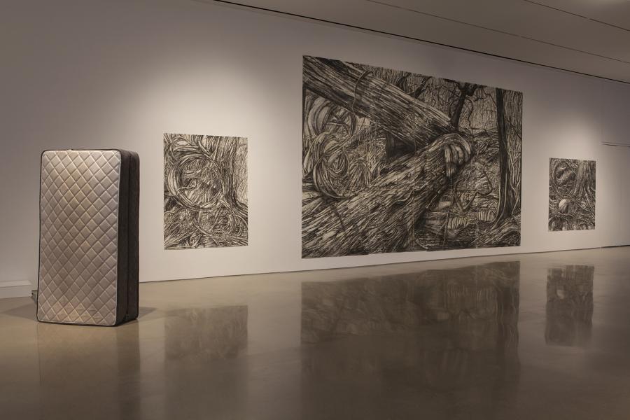 Large-scale charcoal drawings of tangled tree roots alongside an upright mattress, displayed in a gallery setting.
