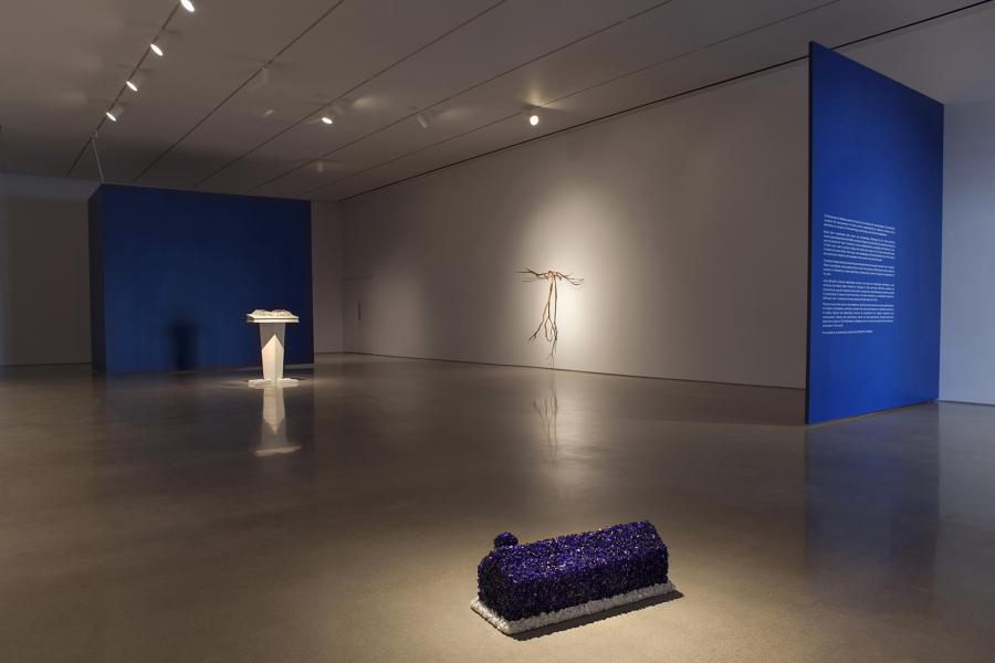 A wide-angle view of the exhibition space featuring a blue partition, a book sculpture on a pedestal, a wall-mounted branch sculpture, and a textured floor installation.