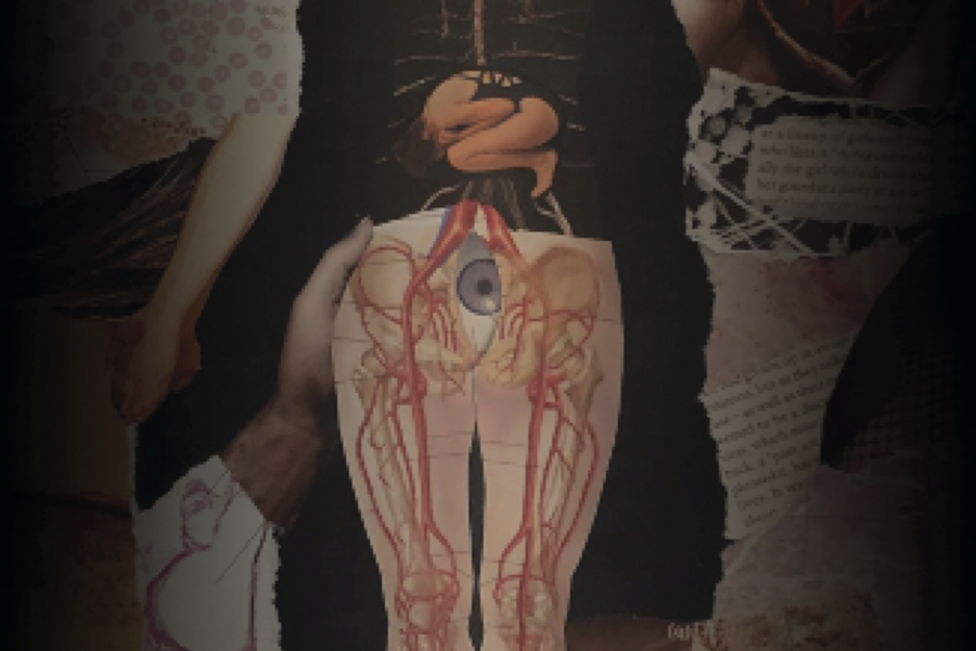 [9:14 AM] Cailyn Harrison Surreal collage with anatomical diagrams, an eye at the pelvis, human limbs, and layered text fragments.