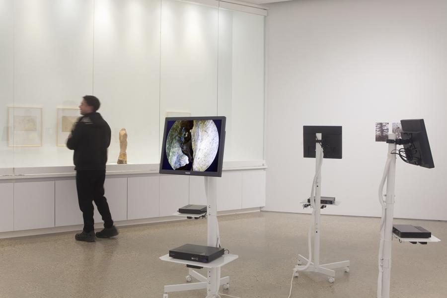 Gallery visitor views framed drawings and sculpture beside monitors displaying microscopic footage.