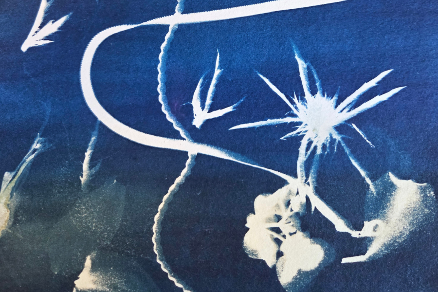 Abstract cyanotype print with white organic shapes and flowing lines on a deep blue background.