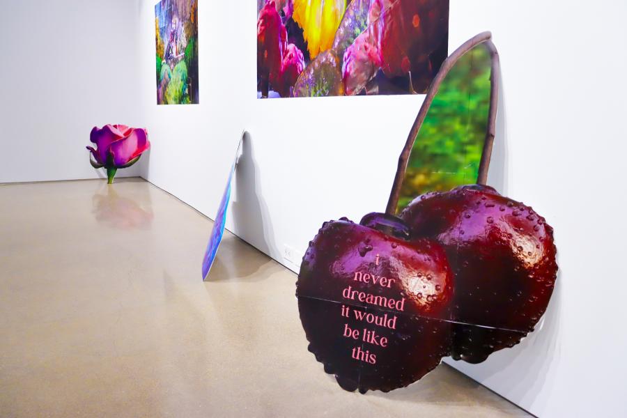 Cherry-shaped sculptural cut-out installed alongside photographic works.