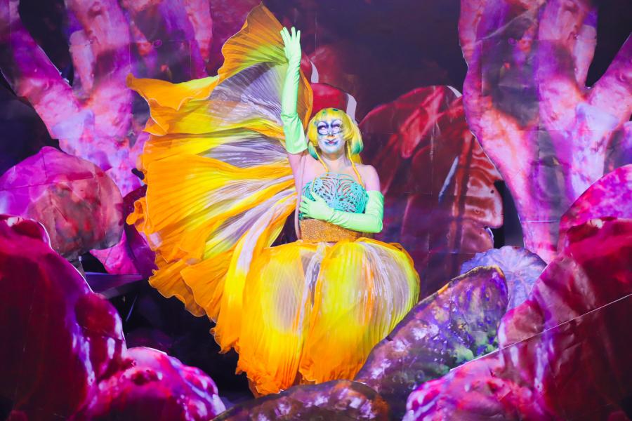 Colourful staged portrait featured in Séamus Gallagher's It's A Mess.