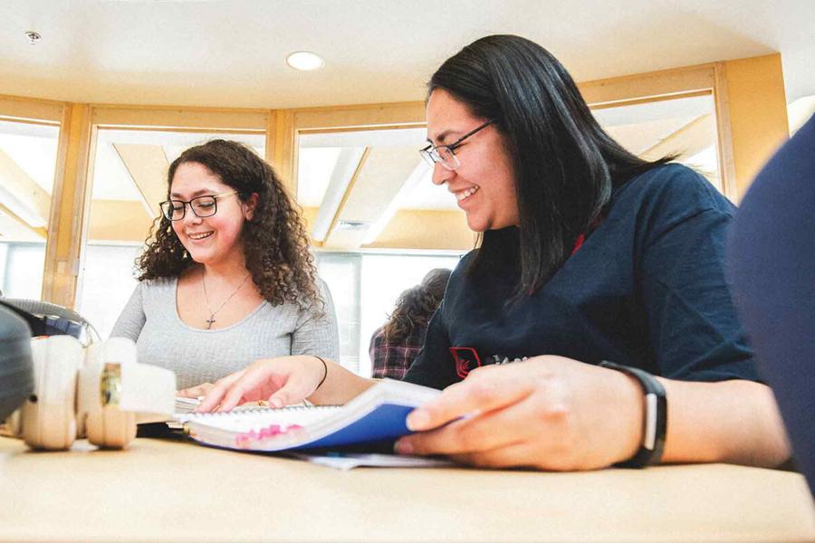 Two excited student studying
