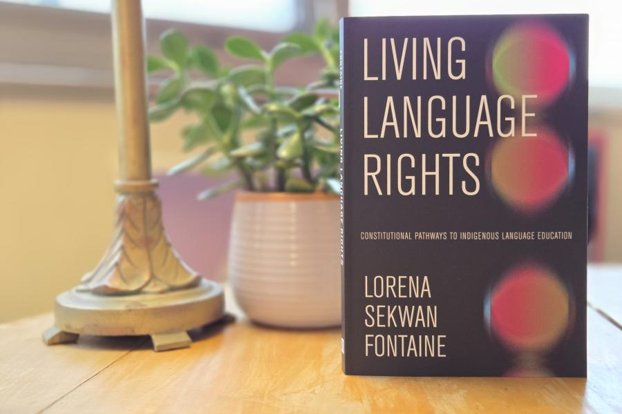 A gold antique lamp, a jade plant and a book sitting on an oak wood table.