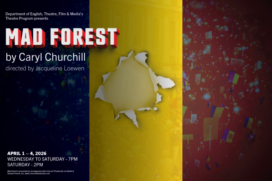 A past Romanian flag with a hole in the centre seemingly made by a bullet.