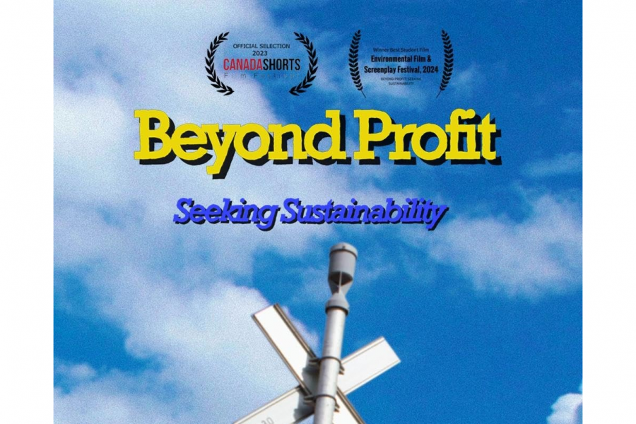 Beyond profit: Seeking sustainability