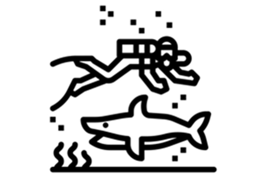 Illustration of a scuba diver in water with a shark below.