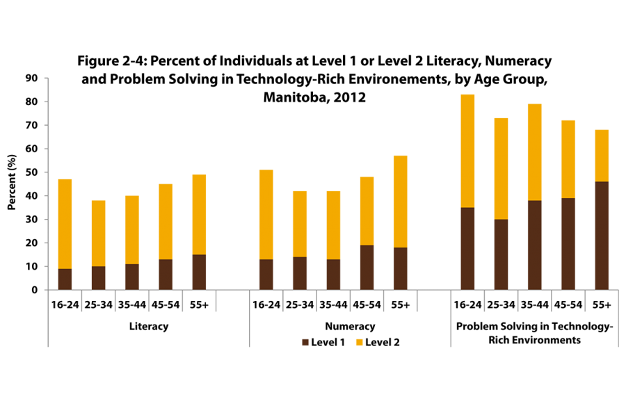 Three vertical bar charts shows the percent of individuals using age groupings from 16 years to 55 and over, whose literacy, numeracy, and problem solving is at Level 1 or Level 2. 