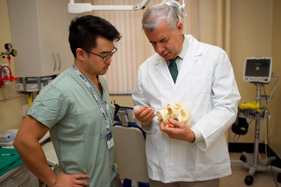 A dentist points to a model of a human skull showing a student an area of the jaw.