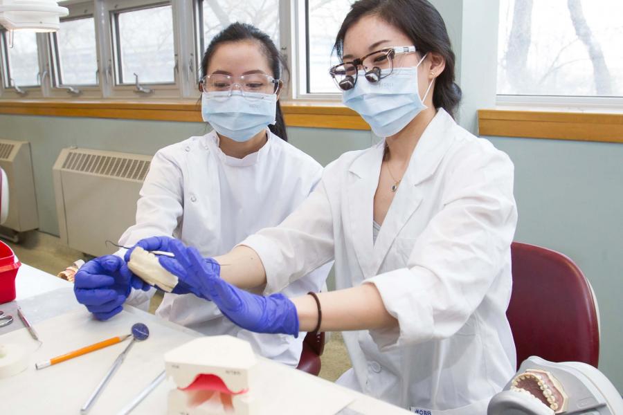 Dental hygiene students using tools in a lab.