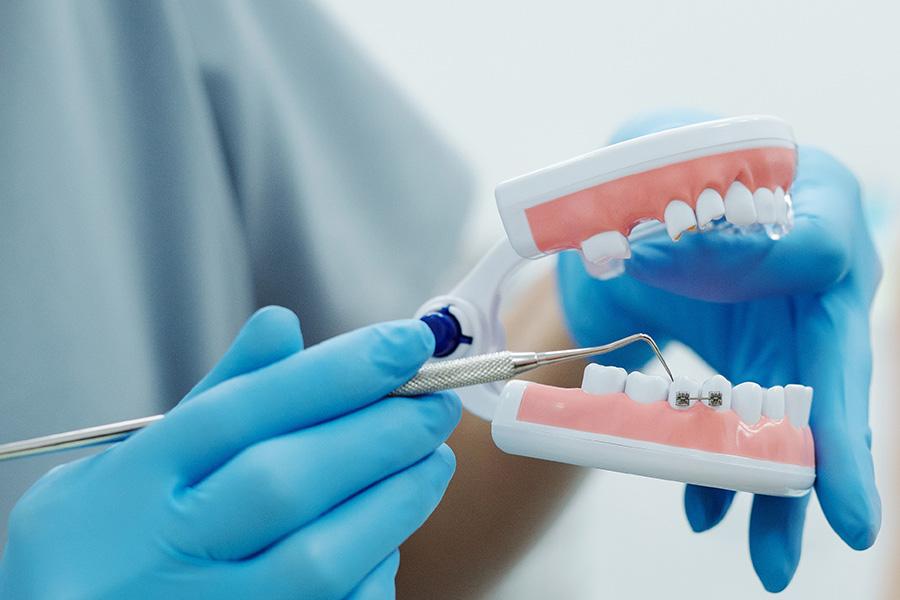 A dentist using a dental tool on a dental model with braces.