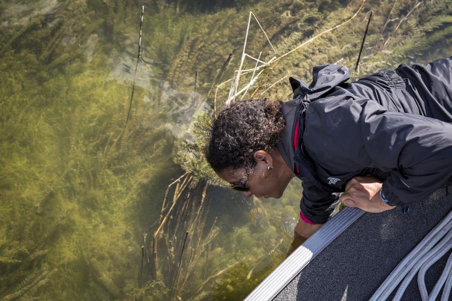 Collecting a sample from the Waterhen River, MB, August 2017.