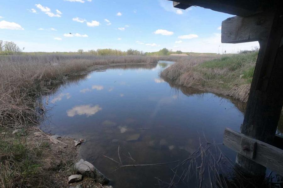 bretecher creek watershed upstream seen from under a bridge.