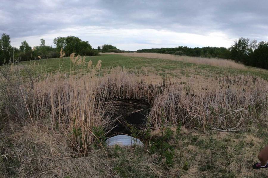 a culvert draining into a stream.