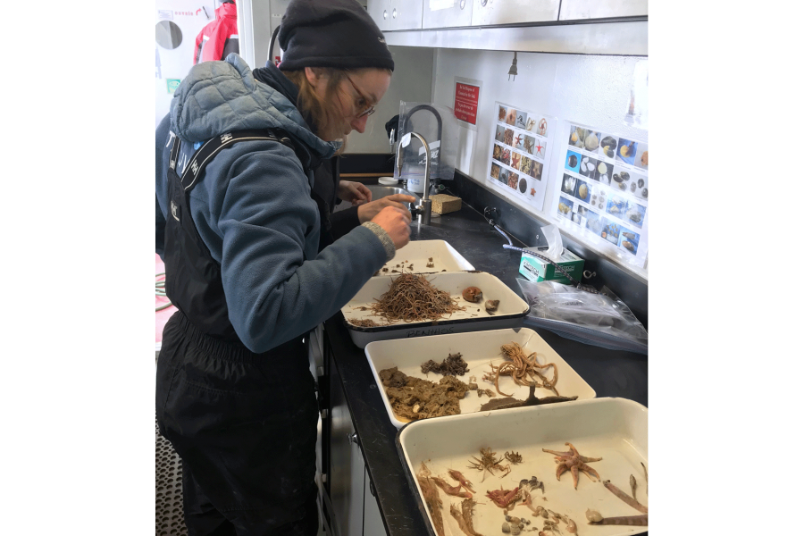 a researchers sampling set-up aboard the CCGS Amundsen.