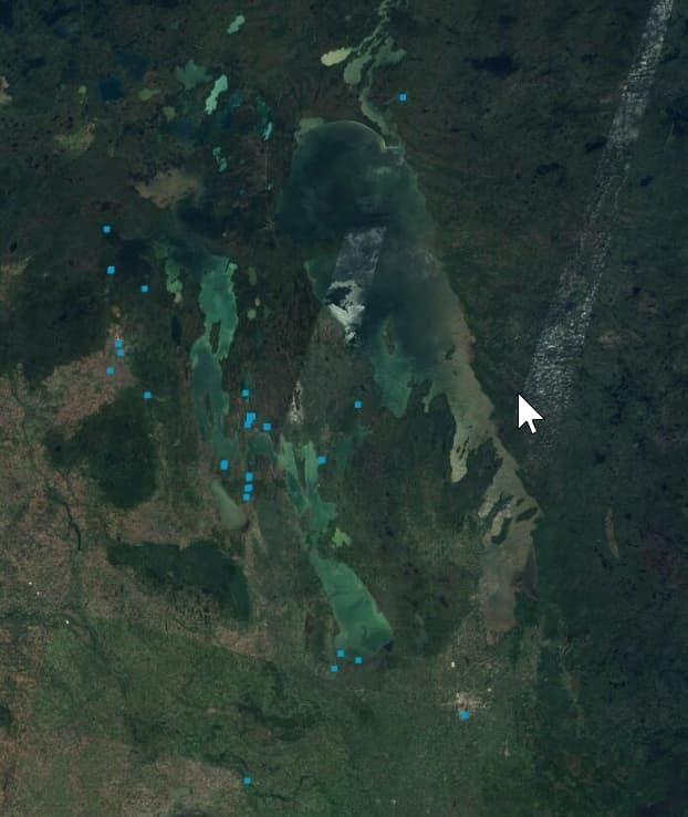 Satellite image of Lakes Winnipegosis, Manitoba, Waterhen and Winnipeg, showing sampling site in the Manitoba Great Lakes Program