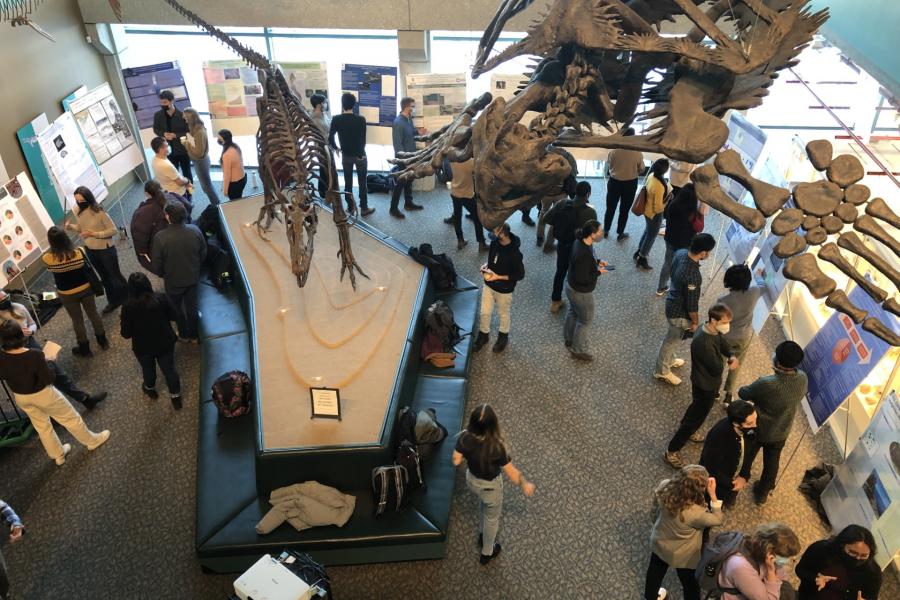 honours posters presentation 2023