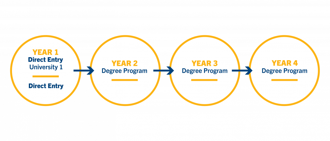 Infographic showing university is the first year of any direct entry program.