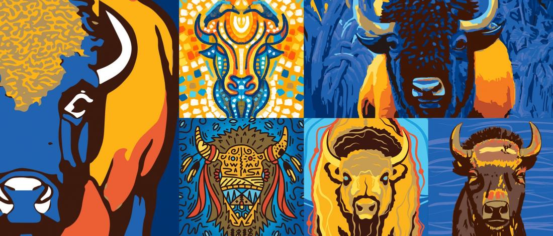 Image of a series of Bison illustrations.