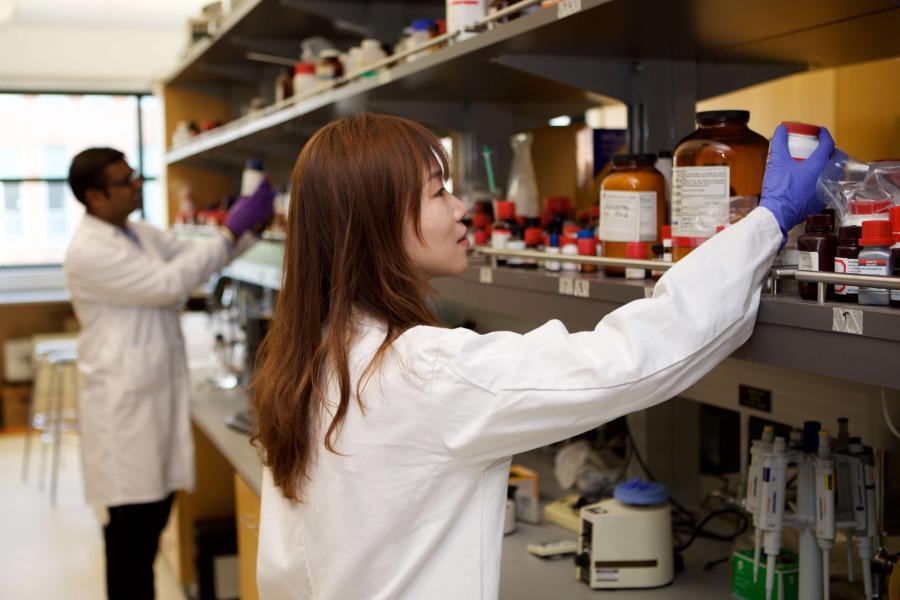 Female student chooses chemicals from a shelf in a pharmacy lab