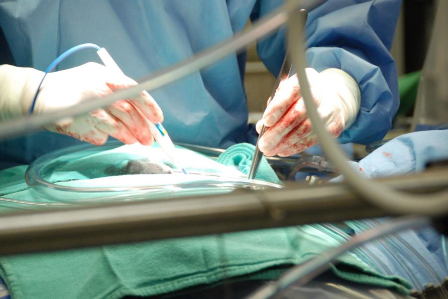 Surgeon performing a procedure.
