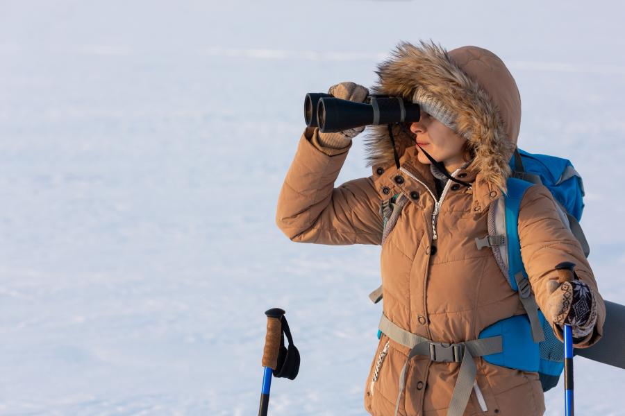 Stock image arctic research