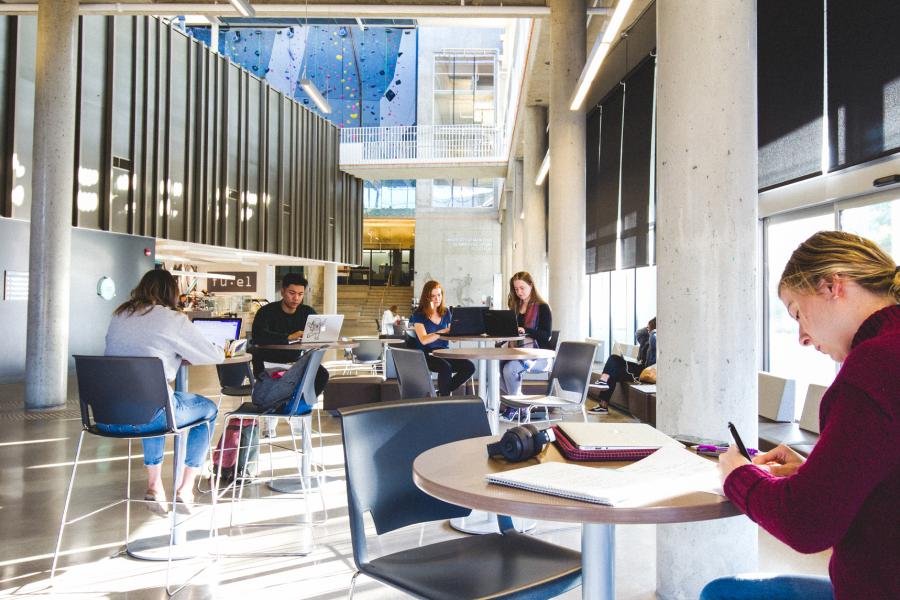 An image of students sitting in the Active Living Centre. They are all working on their laptops or engaged in conversation.