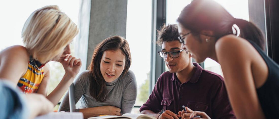 The Bachelor of Arts Integrated Studies