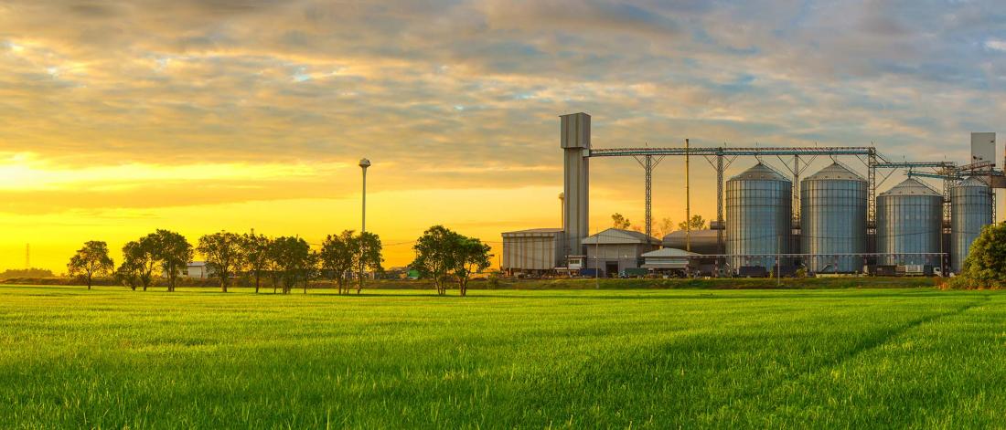 Industrial facility with large silos and storage tanks situated next to a green field under a partly cloudy sky at sunrise.