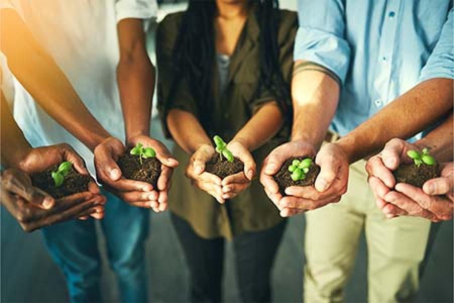 Five pairs of diverse hands hold soil with small green seedlings, symbolizing growth and unity.
