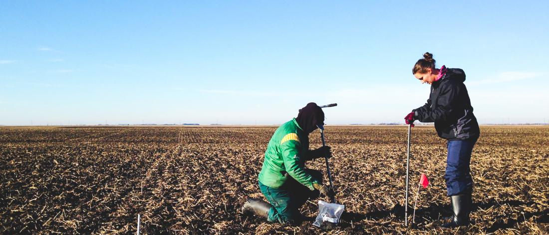 2 people digging in a field.