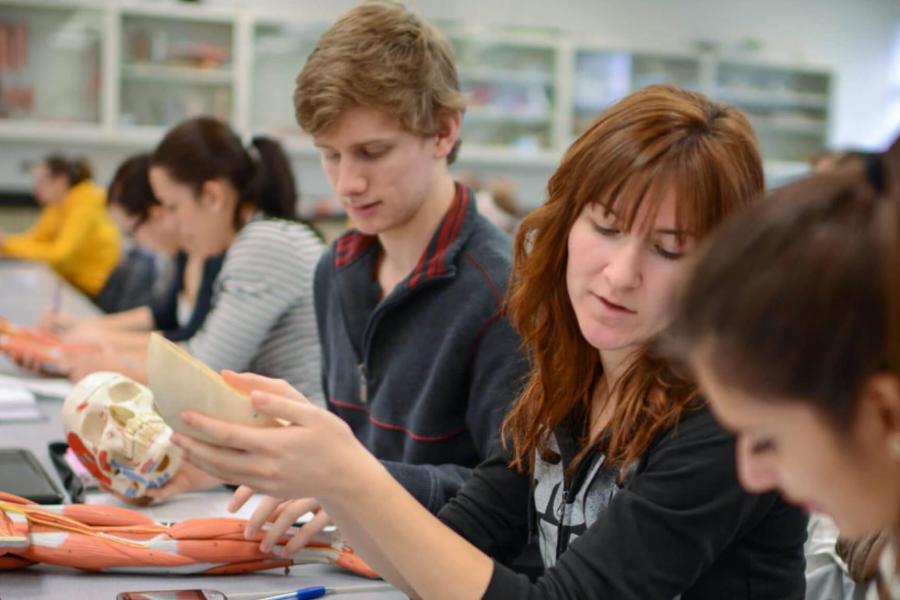 Kinesiology students work in a classroom.