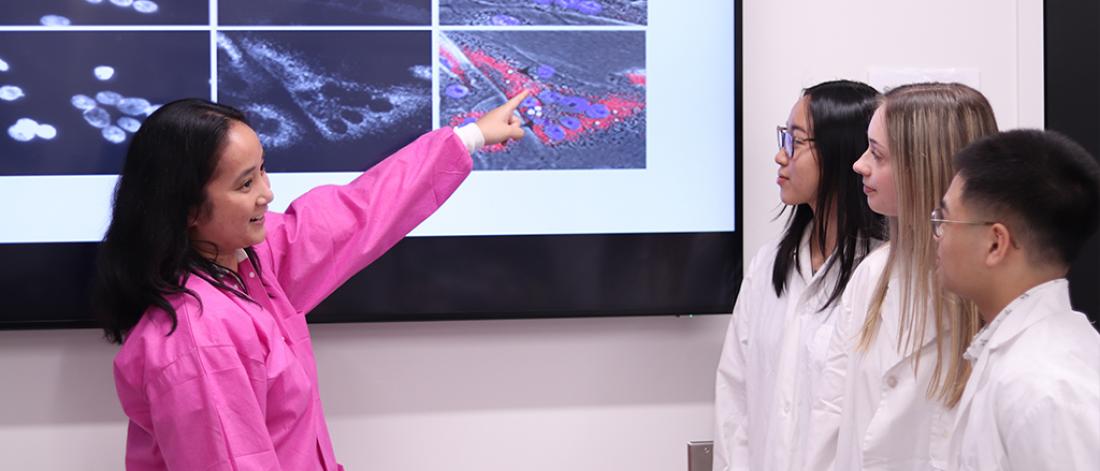 A person pointing to an image on a screen while three participants review the monitor.