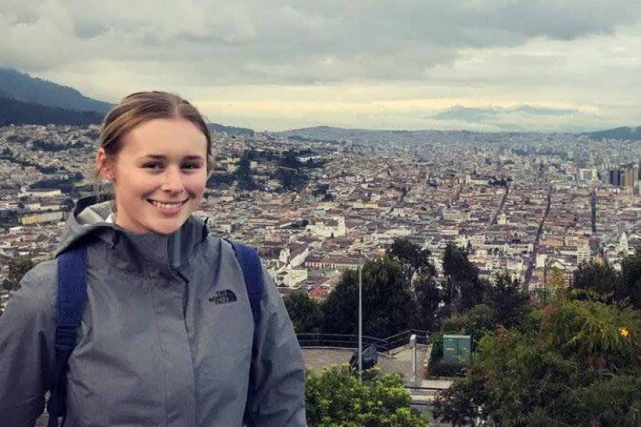 Traveller standing at a scenic point overlooking a city.