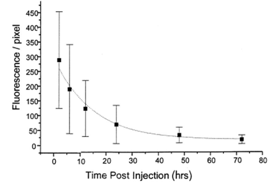 A chart showing mean fluorescence intensity per pixel.
