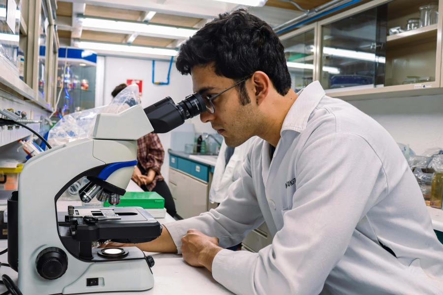 A student looking into a microscope.