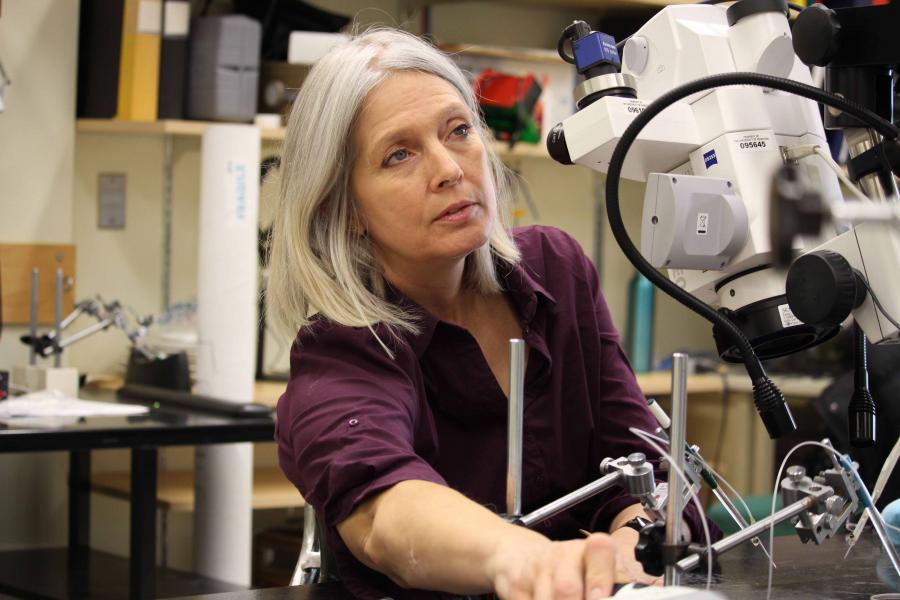 Dr. Kristine Cowley who's research focus is to increase the health and function of people living with spinal cord injury (SCI) is pictured in her lab.