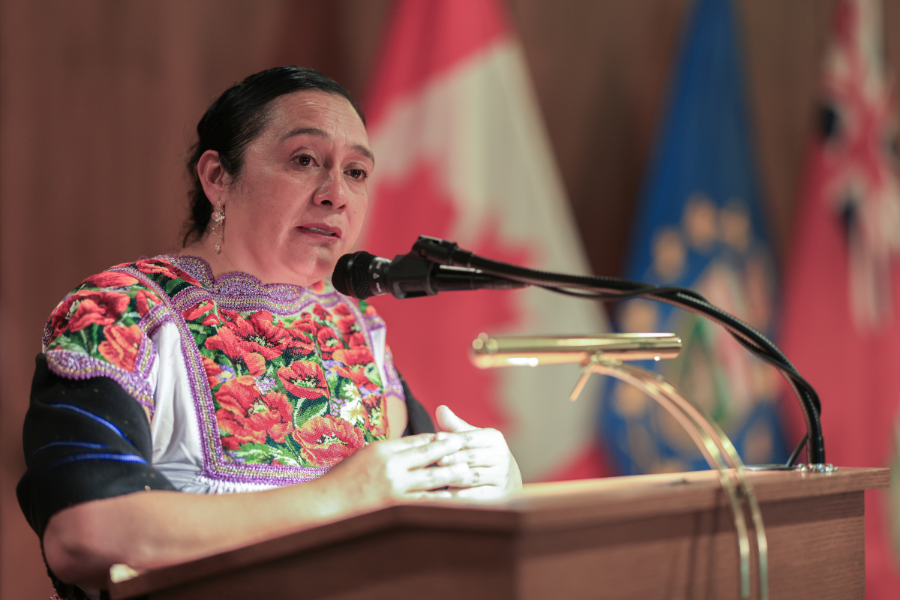  A delegate delivers remarks during the roundtable.