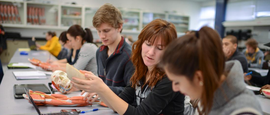 A classroom of kinesiology and recreation management students.