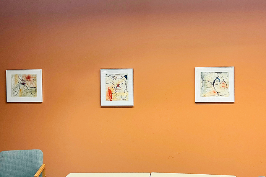 3 framed embroidered art pieces that look like veins and riverways