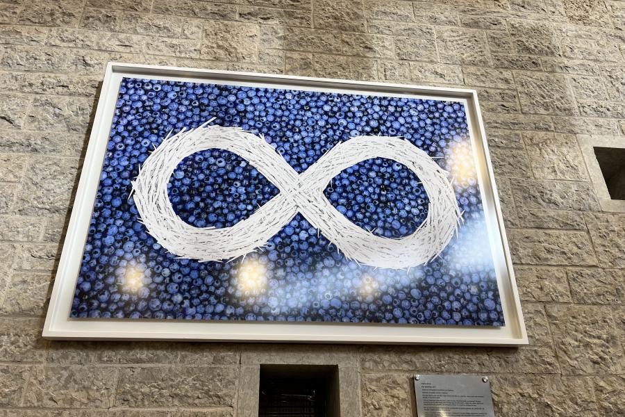 An framed art piece that looks like a Metis flag