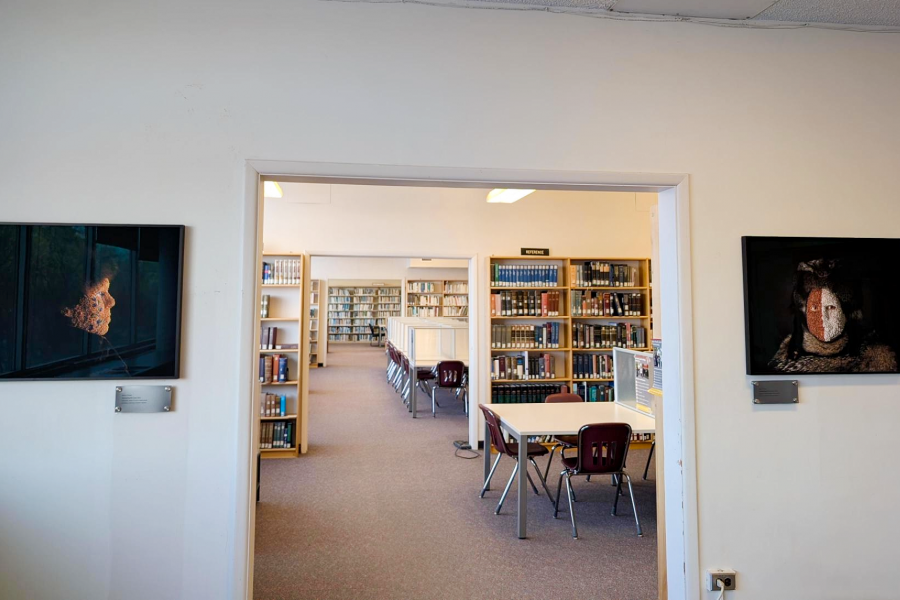 Two framed art pieces of headshots of women with beaded faces on either side of a door leading into a library