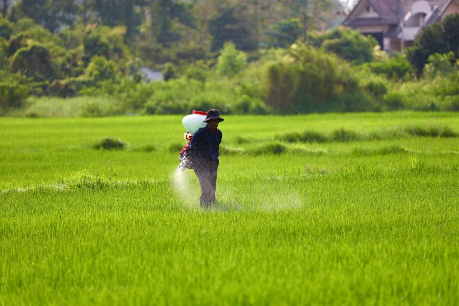 Description of a farmer spraying fertilizer on their fields, against a green backdrop
