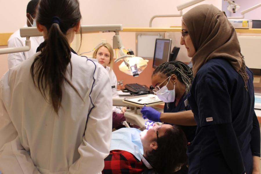 Students performing group work in a lab