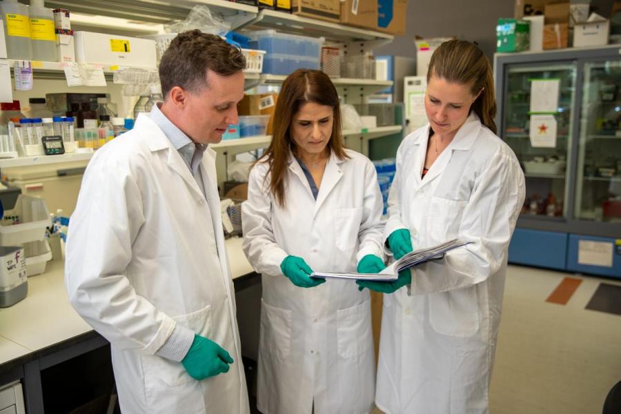 Three lab members in white coats looking at a file.