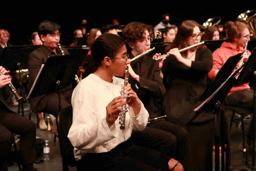 A row of flutists perform in concert.