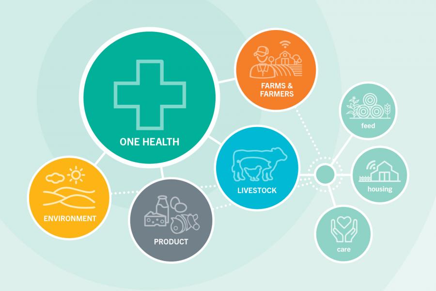 graphic 1 health approach to animal helath